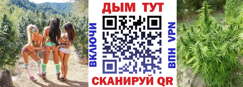 Бошки марихуана сатива мега ссылка Ахтырский